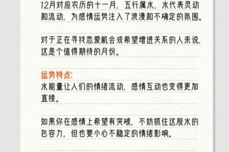 每个月的运势解析