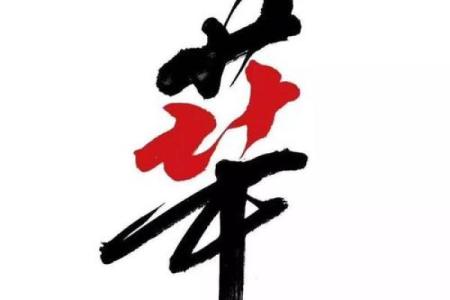 如何为公司选择含有华字的名字提升市场竞争力