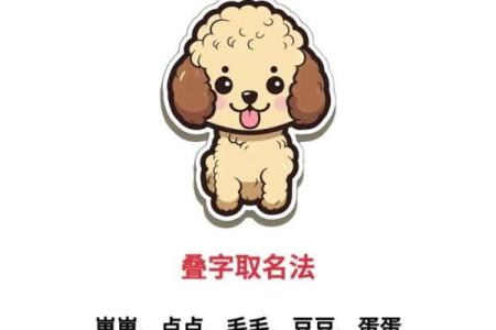 给你的狗狗起个与众不同的名字