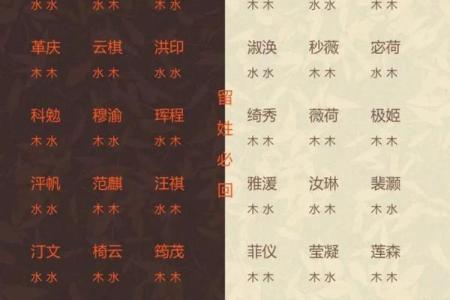 宝宝起名宝典大全免费指南助你轻松挑选合适名字