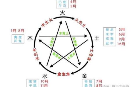 深入探讨金木水火土命与五行运势的关系