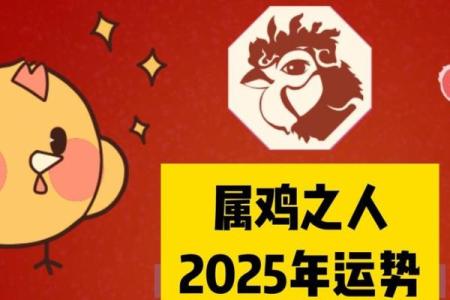 属鸡解析男士的运势变化