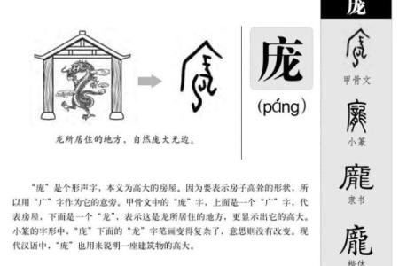 庞姓女孩名字大全及文化寓意