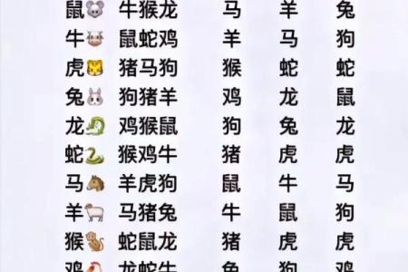 探索生肖速配：最佳配对让爱情更美好