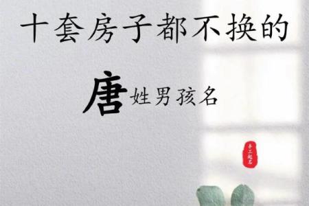 盘点名字带杰的明星：多才多艺的他们如何赢得粉丝喜爱