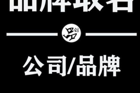 专业起名公司助您打造独一无二的品牌形象