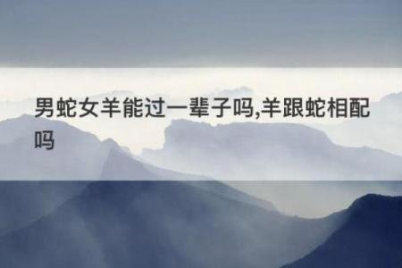 龙与蛇的缘分分析：适合相配的性格与契合度