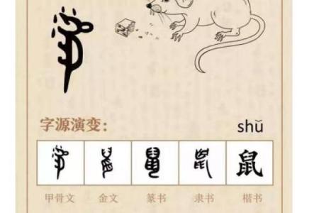 如何为鼠年宝宝起名：五个关键原则