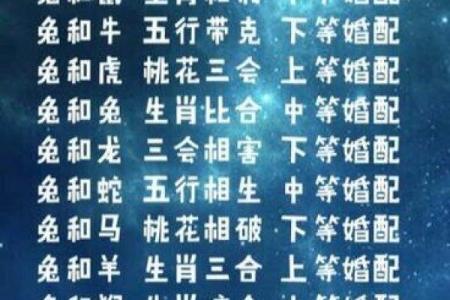虎兔配对：如何在兔年迎接虎年的挑战与机遇