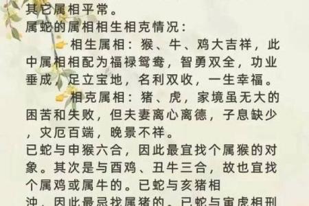 马属相婚配：哪些生肖最能与你心意相投