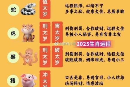 了解卯字背后的生肖意义