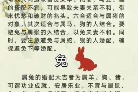 属相配对的最佳搭配与禁忌解析