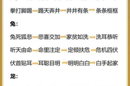 冲锋陷阵与哪个生肖最为契合