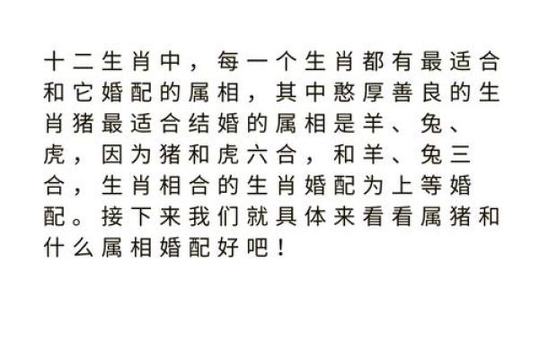 年属相配对详解:哪些组合最和谐 年属相配对详解:哪些组合最和谐