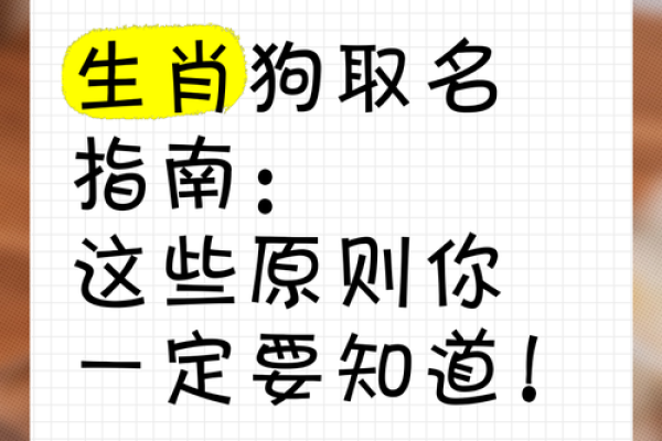 属狗还是属鸡的说法 属狗还是属鸡的说法