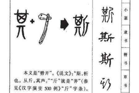 泽希名字的寓意与深层象征探析