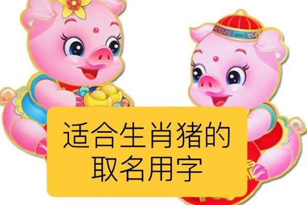 出生属什么生肖?详解属猪人的特点 出生属什么生肖?详解属猪人的特点