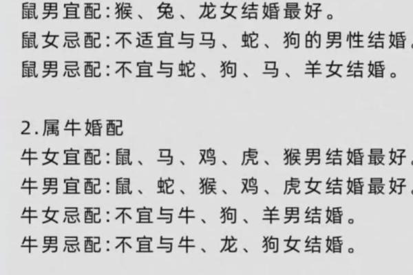 如何看待龙男女和鼠生肖的婚配潜力
