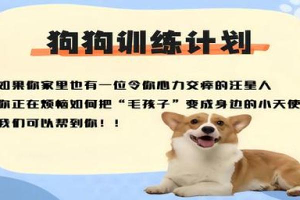 性格与狗的完美契合:选择合适宠物的关键 性格与狗的完美契合:选择合适宠物的关键