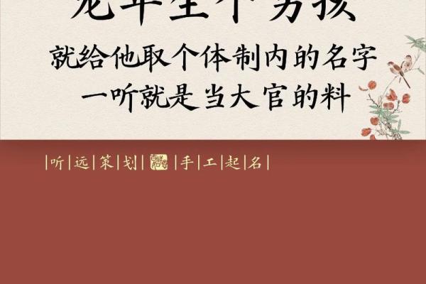 独特寓意的男宝宝名字精选