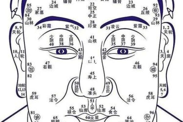 钗钏金命的含义与命理解析 钗钏金命的含义与命理解析