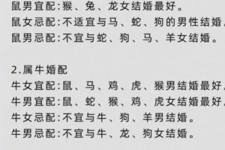 如何看待龙男女和鼠生肖的婚配潜力
