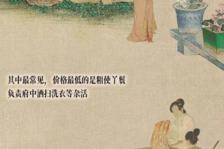 从古代丫鬟名字看封建社会的等级制度