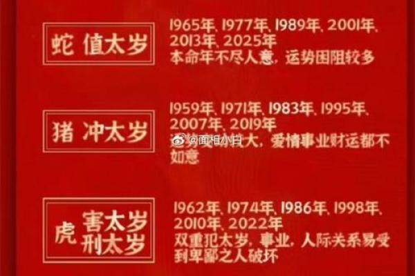 属什么生肖?揭秘出生人的命运与特点 属什么生肖?揭秘出生人的命运与特点