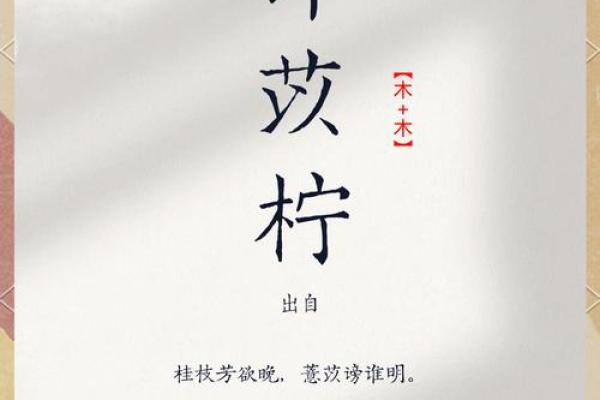 许姓如何在不同地区传承与发展