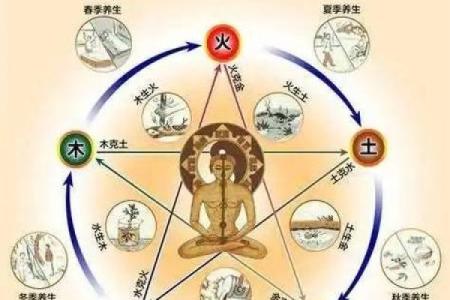 通过八字分析五行平衡与命运走向