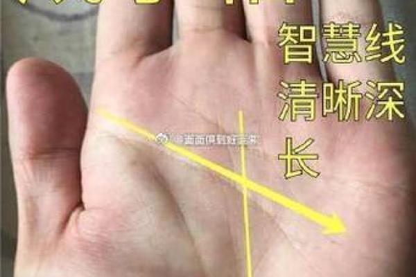 揭秘富贵命的手掌特征 揭秘富贵命的手掌特征