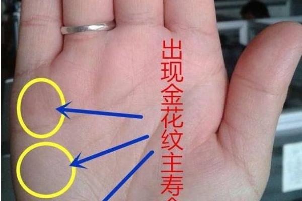 揭秘富贵命的手掌特征 揭秘富贵命的手掌特征