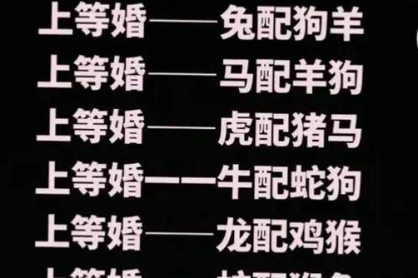 马与哪些属相最配,最佳配对指南 马与哪些属相最配,最佳配对指南
