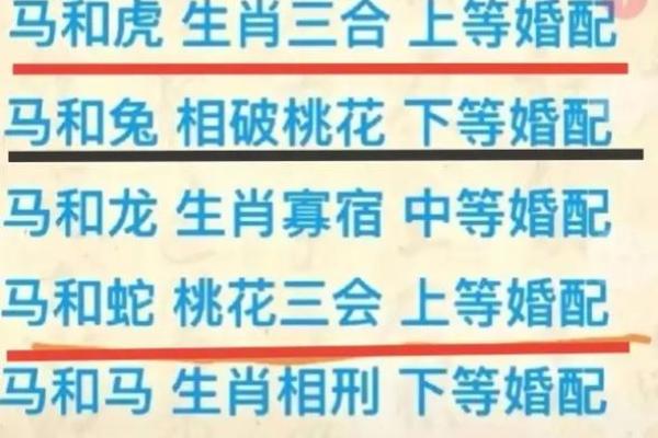 马与哪些属相最配,最佳配对指南 马与哪些属相最配,最佳配对指南