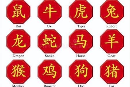 从弱不禁风看哪些生肖缺乏抗压能力