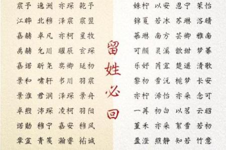 如何为新生宝宝起个独特且有意义的名字