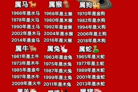 探索十二生肖年份的深层含义