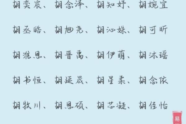 小宝宝起名字：如何选择既有意义又易于发音的名字