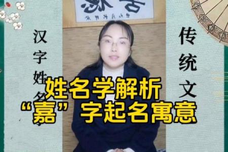 选择嘉字起名公司，给您的品牌赋予寓意与价值