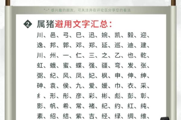 为属猪男宝宝取名的独特创意与建议
