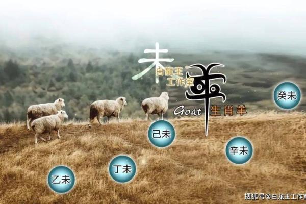 羊年运势透析:事业与感情的关键变化 羊年运势透析:事业与感情的关键变化