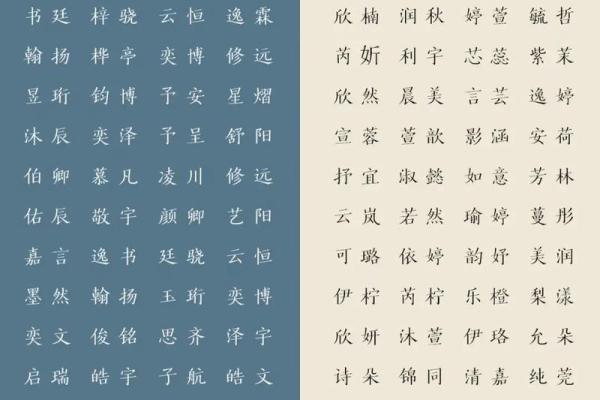 许姓的名字中隐藏的智慧与传统价值