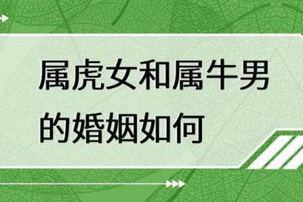 男虎与女马:婚姻中的默契与差异 男虎与女马:婚姻中的默契与差异