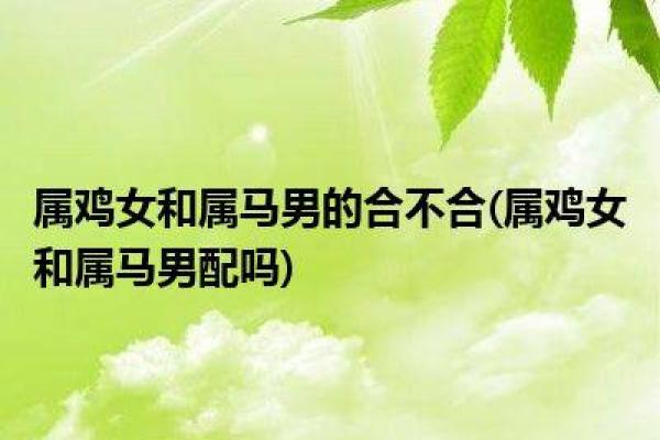 男虎与女马:婚姻中的默契与差异 男虎与女马:婚姻中的默契与差异