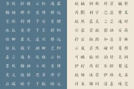 许姓的名字中隐藏的智慧与传统价值