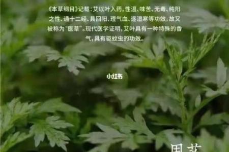 艾字开头的名字，带给孩子的美好祝福