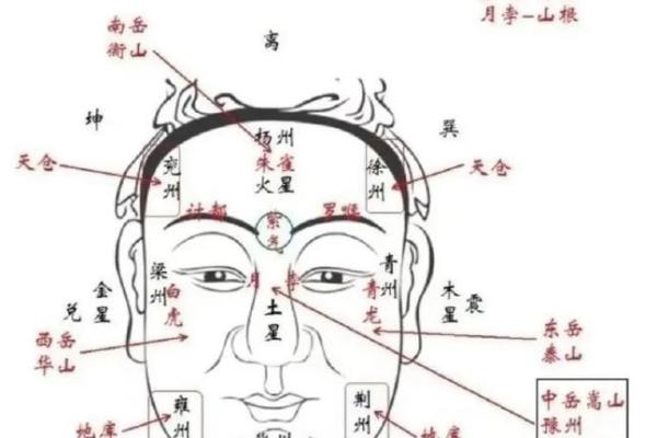 男人颧鼻相配的面相解析与命运关联 男人颧鼻相配的面相解析与命运关联