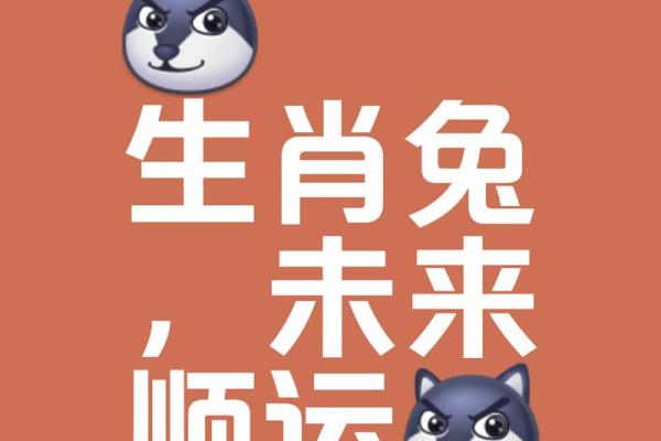 属兔探索运势,简单又神奇 属兔探索运势,简单又神奇