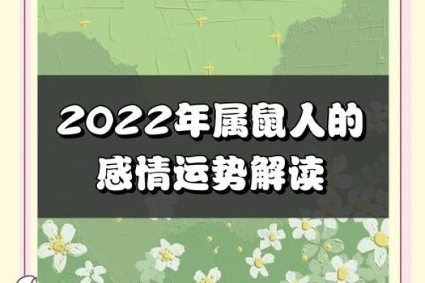 属鼠,运势与人生的独特轨迹 属鼠,运势与人生的独特轨迹