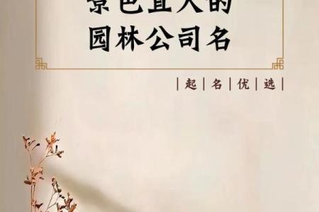 辛起名公司：为您的品牌起名提供专业定制服务